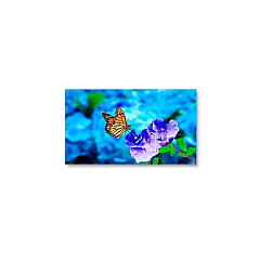 NEC 55 Ultra Narrow Bezel Video Wall (UN552VS)