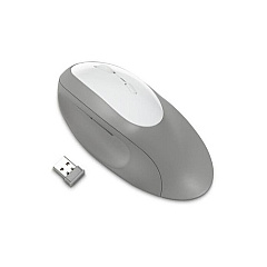 Kensington Pro Fit Ergo Wireless Mouse-gray (K75405WW)