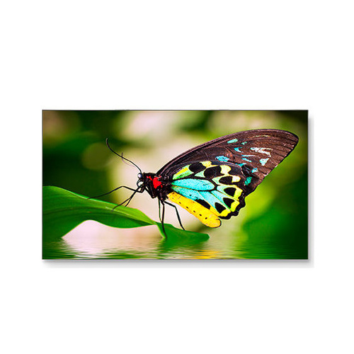 NEC 55inch Ultra Narrow Bezel Video (UN552)