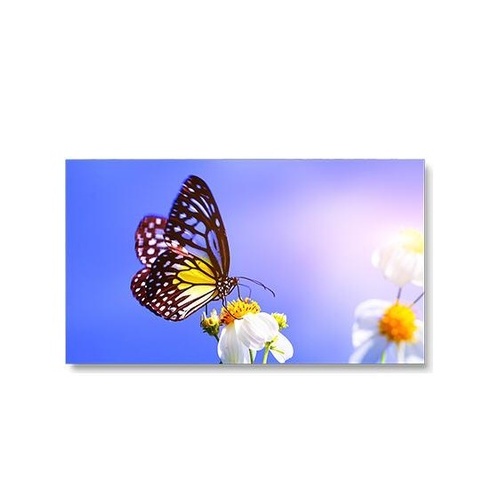 NEC 55 Ultra Narrow Bezel Video Wall (UN552V)