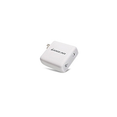 Iogear Usb-c Gan 100w Charger (GPAWC100W)