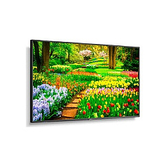 NEC Multisync M491 With Installed Pcap Touchscreen (M491PT)