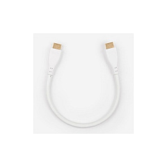 Rocstor 1 Ft Hdmi High Speed Cable M/m (Y10C158W1) Rocstor 1 Ft Hdmi High Speed Cable M/m (Y10C158W1)