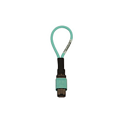 Tripp Lite Fiber Cable Tester Mmf 12fmtp/mpo Female (N844BLOOP12F) Tripp Lite Fiber Cable Tester Mmf 12fmtp/mpo Female (N844BLOOP12F)