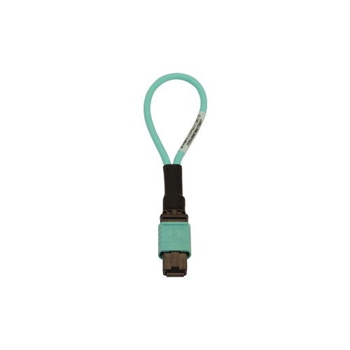 Tripp Lite Fiber Cable Tester Mmf 12fmtp/mpo Female (N844BLOOP12F)