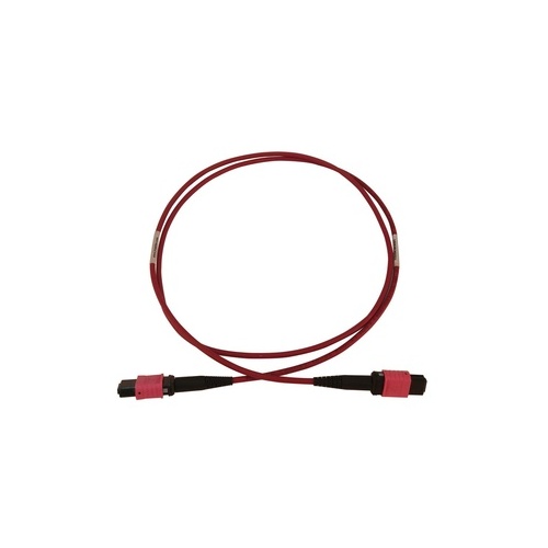 Tripp Lite Fiber Cable 100g Om4 12f Mtp/mpo-pc 3m (N845B03M12MG)