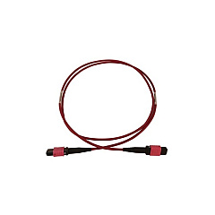 Tripp Lite Fiber Cable 100g Om4 12f Mtp/mpo-pc 10m (N845B-10M-12-MG) Tripp Lite Fiber Cable 100g Om4 12f Mtp/mpo-pc 10m (N845B-10M-12-MG)