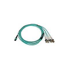 Tripp Lite Fiber Cable Mmf 24f Mtp/mpo-pc F/f 1m (N846B01M24P) Tripp Lite Fiber Cable Mmf 24f Mtp/mpo-pc F/f 1m (N846B01M24P)