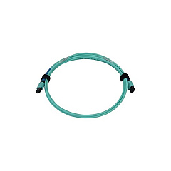 Tripp Lite Fiber Cable Mmf 24f Mtp/mpo-pc F/f 5m (N846B05M24P) Tripp Lite Fiber Cable Mmf 24f Mtp/mpo-pc F/f 5m (N846B05M24P)