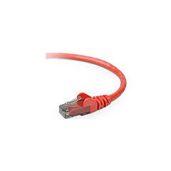 Belkin 3ft Cat6 Snagless Patch Cable Red (A3L980-03-RED-S) Belkin 3ft Cat6 Snagless Patch Cable Red (A3L980-03-RED-S)