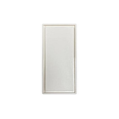 Tripp Lite Blank Snap-in Insert European Style Vert (N042EWHM0)