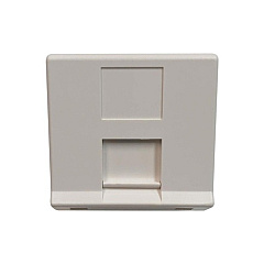 Tripp Lite European Style Insert 1-port White (N042EWM1SAT)