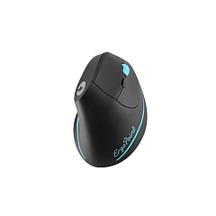 Ergoguys Swiftpoint Ergopoint Wireless Mouse (SM800)