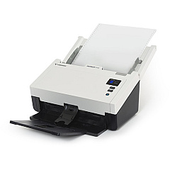 Xerox Patriot D40 Taa 60ppm (PD40-U)