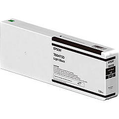 Epson Light Black Ink Cartridge (T804700)