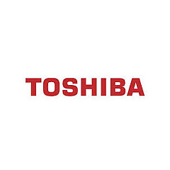 Toshiba 6LE58405000 Fuser Picker Finger Toshiba 6LE58405000 Fuser Picker Finger