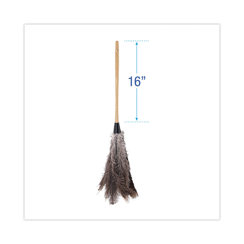 eazyzoom
