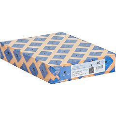 Sparco Premium Copy Paper - Goldenrod Letter - 8 1/2" x 11" - 20 lb Basis Weight - Sustainable Forestry Initiative (SFI) - Lint-free, Archival-safe, Acid-free - Goldenrod - 500 / Ream (05125) Sparco Premium Copy Paper - Goldenrod Letter - 8 1/2" x 11" - 20 lb Basis Weight - Sustainable Forestry Initiative (SFI) - Lint-free, Archival-safe, Acid-free - Goldenrod - 500 / Ream (05125)
