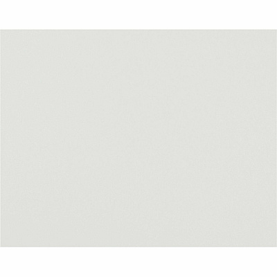 Pacon Railroad Board Art, Mat, Mounting, Block Printing, Painting, Stenciling, Poster - 22" Height x 28" Width - White - 50 / Carton (54602)