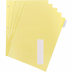 Business Source Buff Stock Ring Binder Indexes 8 x Divider(s) - Blank Tab(s) - 8 Tab(s)/Set - 1.25" Tab Width - 8.5" Divider Width x 11" Divider Length - Letter - 3 Hole Punched - Clear Buff Paper Divider - Clear Tab(s) - Tear Resistant, Reinfo (BSN20069) Business Source Buff Stock Ring Binder Indexes 8 x Divider(s) - Blank Tab(s) - 8 Tab(s)/Set - 1.25" Tab Width - 8.5" Divider Width x 11" Divider Length - Letter - 3 Hole Punched - Clear Buff Paper Divider - Clear Tab(s) - Tear Resistant, Reinfo (BSN20069)