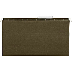 Business Source 1/3 Tab Cut Legal Recycled Hanging Folder 8 1/2" x 14" - 11 pt. - Poly - Green - 100% Recycled - 25 / Box (BSN43569)