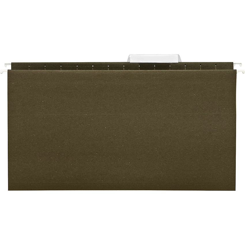 Business Source 1/3 Tab Cut Legal Recycled Hanging Folder 8 1/2" x 14" - 11 pt. - Poly - Green - 100% Recycled - 25 / Box (BSN43569)