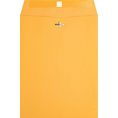 Business Source Heavy-duty Clasp Envelopes Clasp - #90 - 9" Width x 12" Length - 28 lb - Clasp - Kraft - Kraft - 100 / Box (BSN36663)