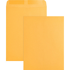 Business Source Kraft Gummed Catalog Envelopes Catalog - #10 1/2 - 9" Width x 12" Length - 28 lb - Gummed - Kraft - Kraft - 250 / Box (BSN42100)