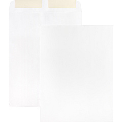 Business Source 28 lb. White Catalog Envelopes Catalog - #10 1/2 - 9" Width x 12" Length - 28 lb - Gummed - White - Wove - 250 / Box (BSN42102)