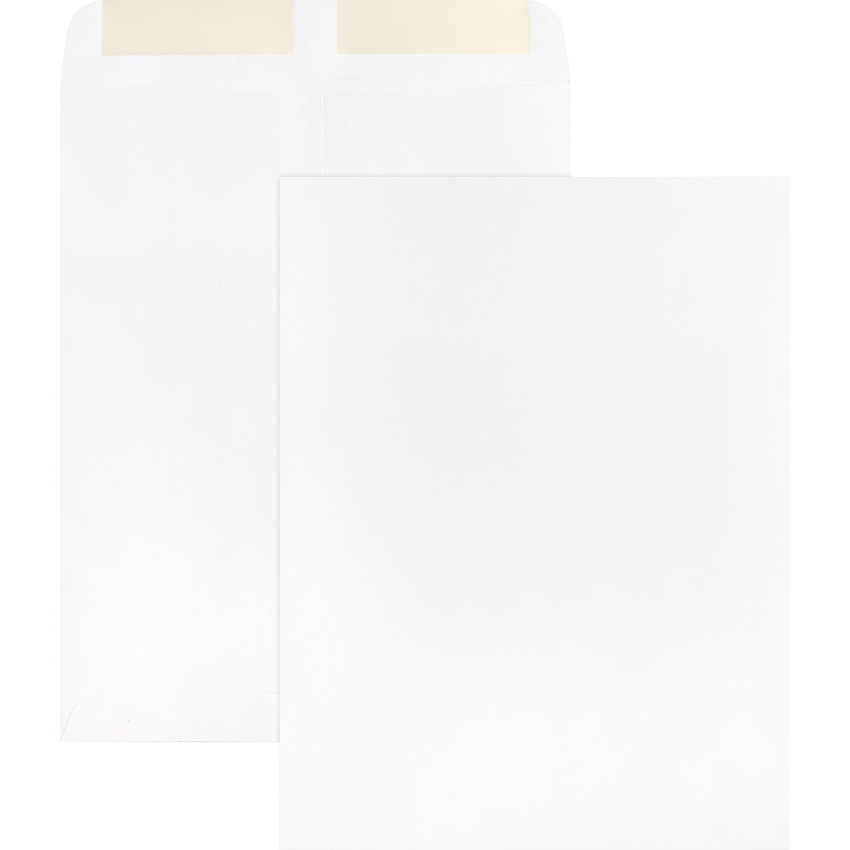 Business Source 28 lb. White Catalog Envelopes Catalog - #10 1/2 - 9" Width x 12" Length - 28 lb - Gummed - White - Wove - 250 / Box (BSN42102)