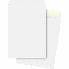 Business Source 28 lb. White Catalog Envelopes Catalog - #13 1/2 - 10" Width x 13" Length - 28 lb - Gummed - White - Wove - 250 / Box (BSN42103)