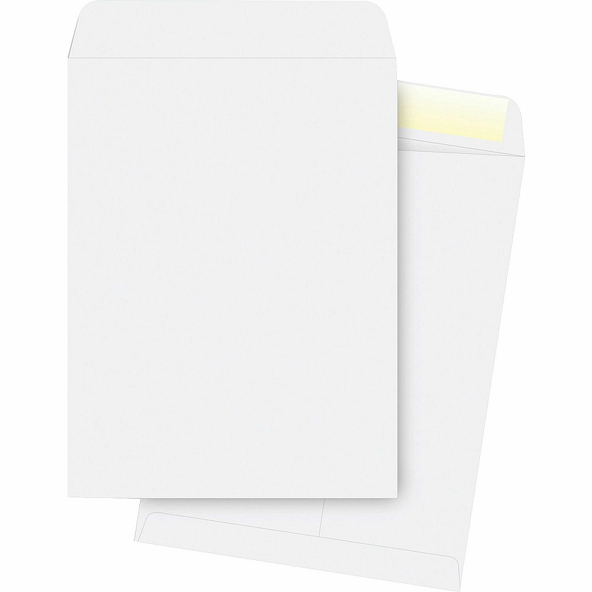Business Source 28 lb. White Catalog Envelopes Catalog - #13 1/2 - 10" Width x 13" Length - 28 lb - Gummed - White - Wove - 250 / Box (BSN42103)