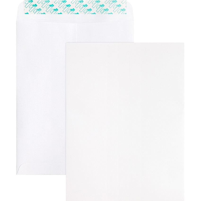 Business Source Self Sealing Catalog Envelope Catalog - 9" Width x 12" Length - 28 lb - Peel & Seal - White - Wove - 100 / Box (BSN65450)