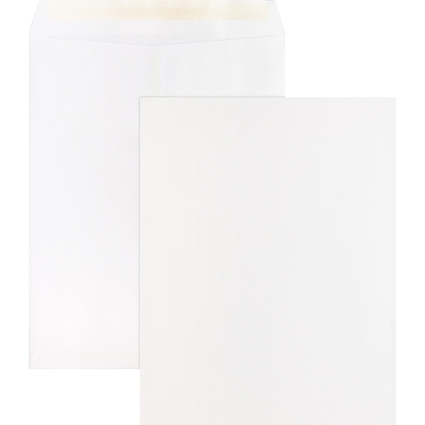 Business Source Self Sealing Catalog Envelopes Catalog - 10" Width x 13" Length - 28 lb - Peel & Seal - White - Wove - 100 / Box (BSN65451)