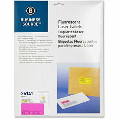 Business Source Neon Labels 2" Width x 4" Length - Permanent Adhesive - Rectangle - Laser - Neon Pink - 10 / Sheet - 250 / Pack (BSN26141)