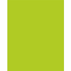 UCreate Neon Poster Board 22" Width x 28" Length - Hot Lime - 25 / Carton (54111)