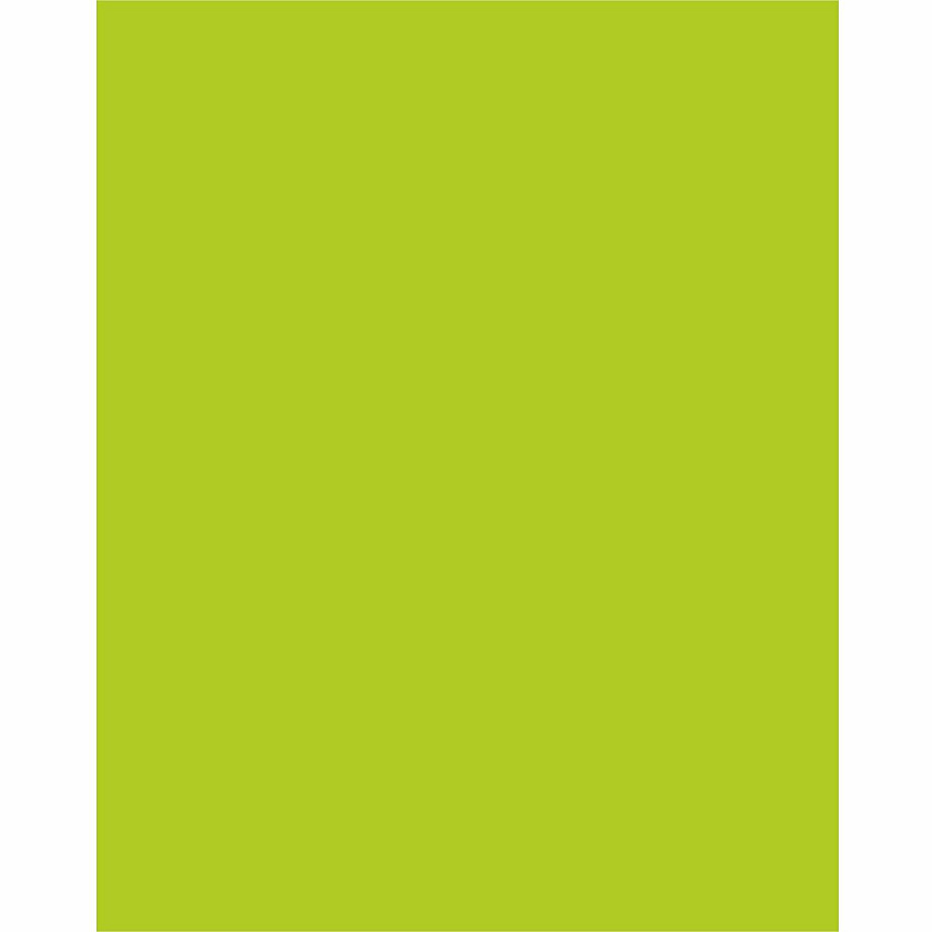 UCreate Neon Poster Board 22" Width x 28" Length - Hot Lime - 25 / Carton (54111)