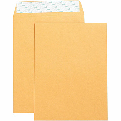 Business Source Self Adhesive Kraft Catalog Envelopes Catalog - 9" Width x 12" Length - 28 lb - Self-sealing - Brown Kraft - Kraft - 250 / Box (BSN42120)