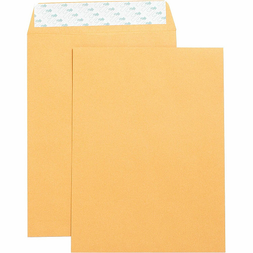 Business Source Self Adhesive Kraft Catalog Envelopes Catalog - 9" Width x 12" Length - 28 lb - Self-sealing - Brown Kraft - Kraft - 250 / Box (BSN42120)