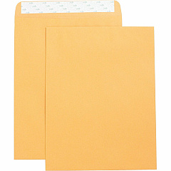 Business Source Self Adhesive Kraft Catalog Envelopes Catalog - 10" Width x 13" Length - 28 lb - Self-sealing - Brown Kraft - Kraft - 250 / Box (BSN42121)