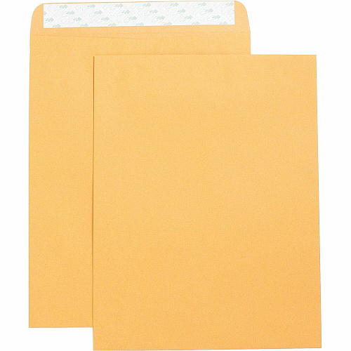 Business Source Self Adhesive Kraft Catalog Envelopes Catalog - 10" Width x 13" Length - 28 lb - Self-sealing - Brown Kraft - Kraft - 250 / Box (BSN42121)