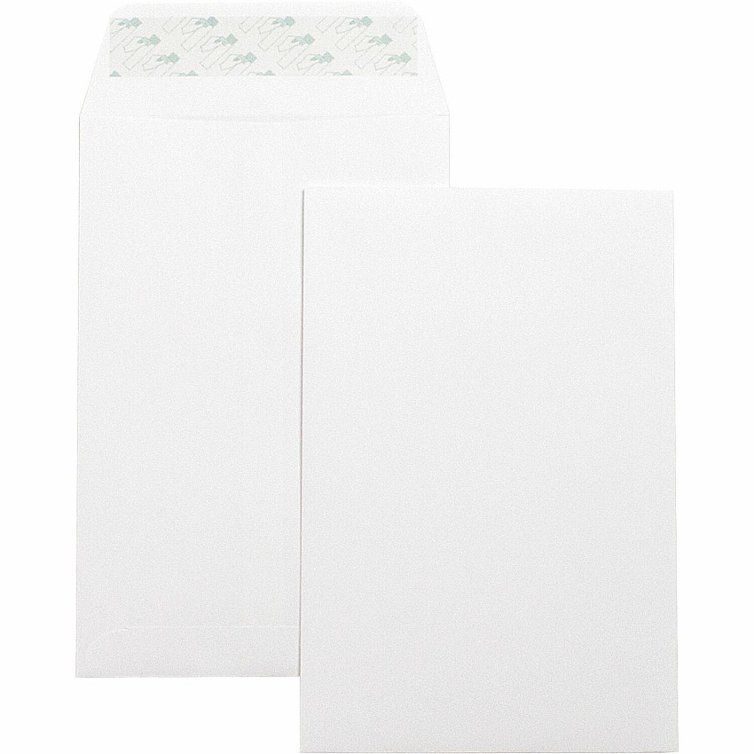 Business Source Self-Seal 6"x9" Catalog Envelopes Catalog - 6" Width x 9" Length - 28 lb - Self-sealing - White - Wove - 100 / Box (BSN42122)