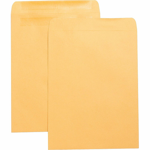 Business Source Press-To-Seal Catalog Envelopes Catalog - 10" Width x 13" Length - 28 lb - Self-sealing - Brown Kraft - Kraft - 100 / Box (BSN42124)