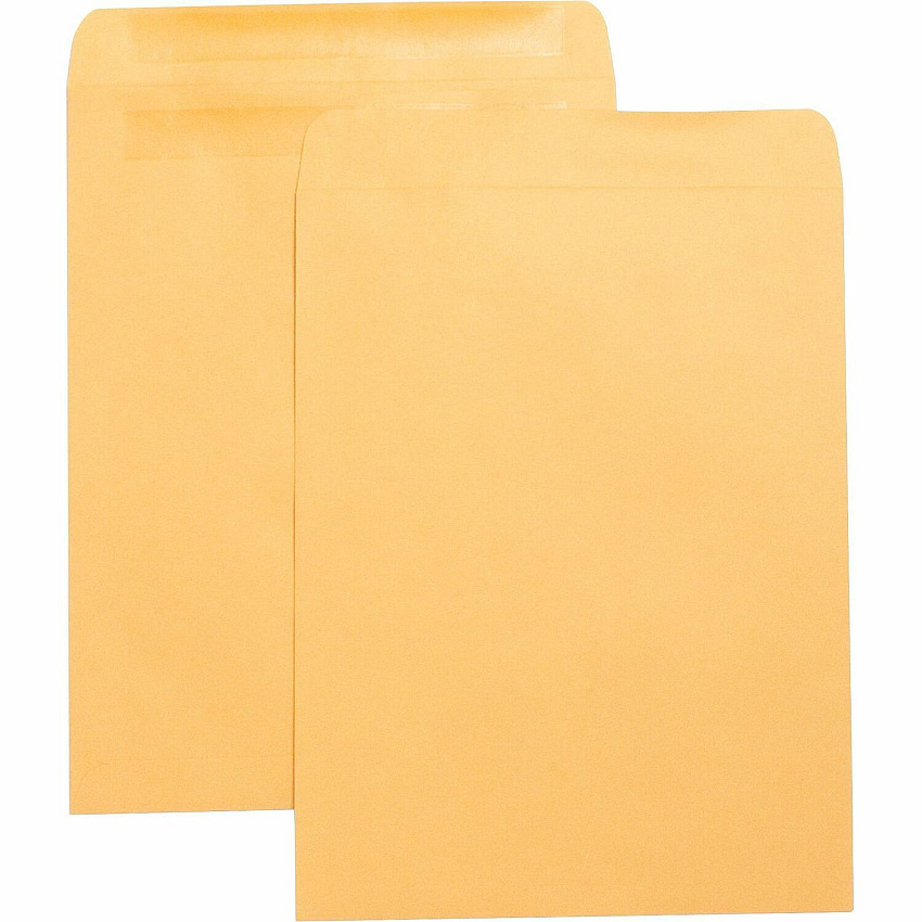 Business Source Press-To-Seal Catalog Envelopes Catalog - 10" Width x 13" Length - 28 lb - Self-sealing - Brown Kraft - Kraft - 100 / Box (BSN42124)