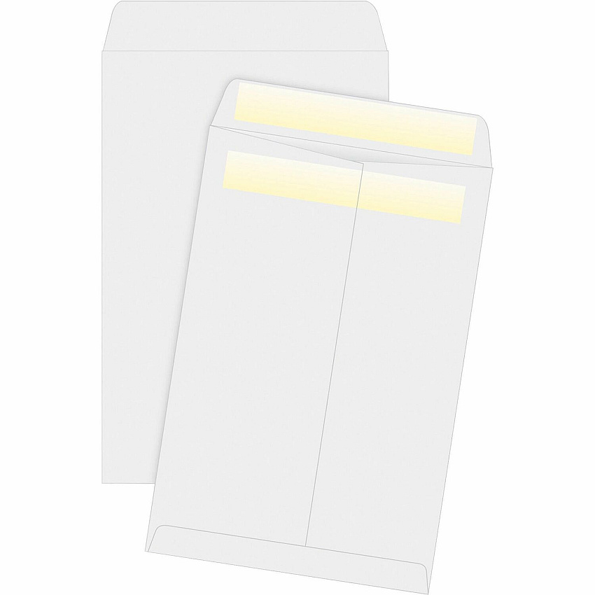 Business Source Press/Seal Catalog Envelopes Catalog - 6" Width x 9" Length - 28 lb - Self-sealing - White - 100 / Box (BSN04647)