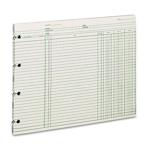 Wilson Jones Accounting Sheets, 9.25 x 11.88, Green, Loose Sheet, 100/Pack (GN2D)