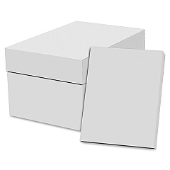 Special Buy Copy Paper - White Letter - 8 1/2" x 11" - 20 lb Basis Weight - Acid-free - White - 500 Sheets per Ream - 40 / Pallet (EC851192PL)