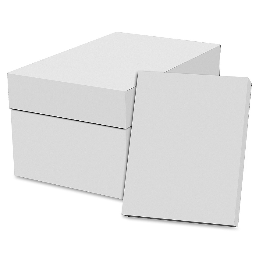 Special Buy Economy Copy Paper - White Letter - 8 1/2" x 11" - 20 lb Basis Weight - White - 500 Sheets per Ream - 10 / Carton (EC851196A)