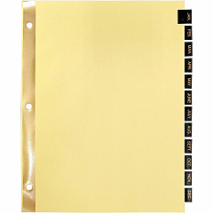 Business Source Monthly Black Leather Tab Index Dividers 12 Printed Tab(s) - Month - January-December - 8.5" Divider Width x 11" Divider Length - Letter - 3 Hole Punched - Buff Paper Divider - Black Leather Tab(s) - 20% Recycled - 1 Set (BSN01183)