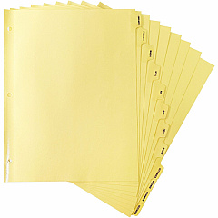 Business Source Monthly Clear Plastic Tab Index Dividers Printed Tab(s) - Month - January-December - 12 Tab(s)/Set - 8.5" Divider Width x 11" Divider Length - Letter - 3 Hole Punched - Buff Buff Paper Divider - Buff Plastic Tab(s) - 1 Set (BSN01807)
